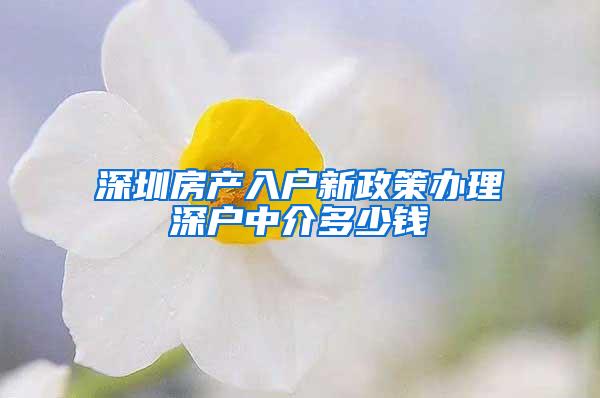 深圳房产入户新政策办理深户中介多少钱