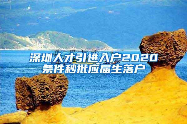 深圳人才引进入户2020条件秒批应届生落户