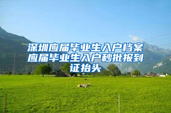 深圳应届毕业生入户档案应届毕业生入户秒批报到证抬头