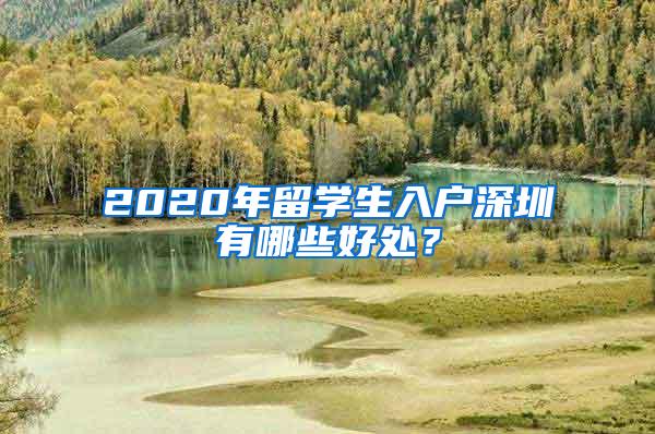 2020年留学生入户深圳有哪些好处？