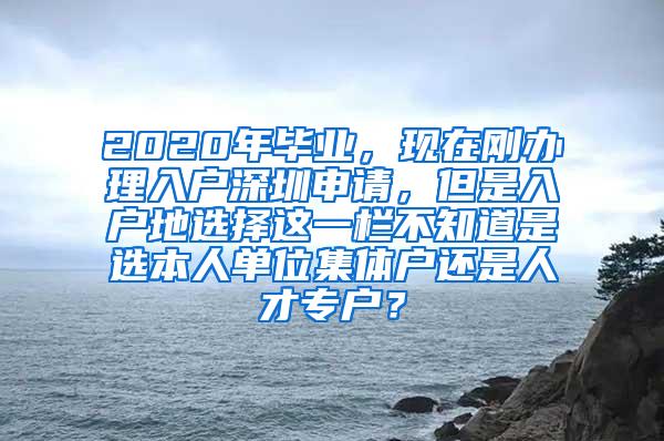 2020年毕业，现在刚办理入户深圳申请，但是入户地选择这一栏不知道是选本人单位集体户还是人才专户？