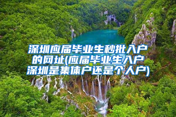 深圳应届毕业生秒批入户的网址(应届毕业生入户深圳是集体户还是个人户)