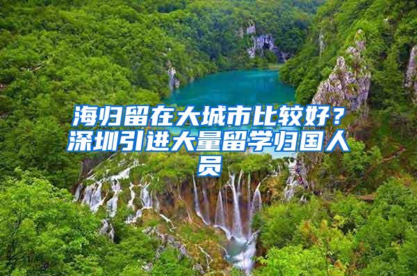 海归留在大城市比较好？深圳引进大量留学归国人员