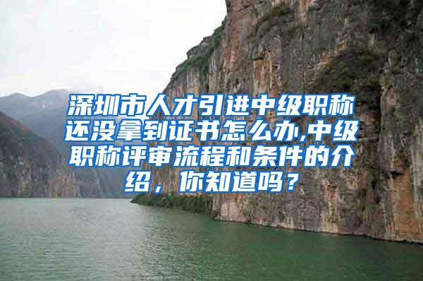 深圳市人才引进中级职称还没拿到证书怎么办,中级职称评审流程和条件的介绍，你知道吗？