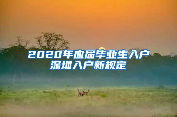 2020年应届毕业生入户深圳入户新规定