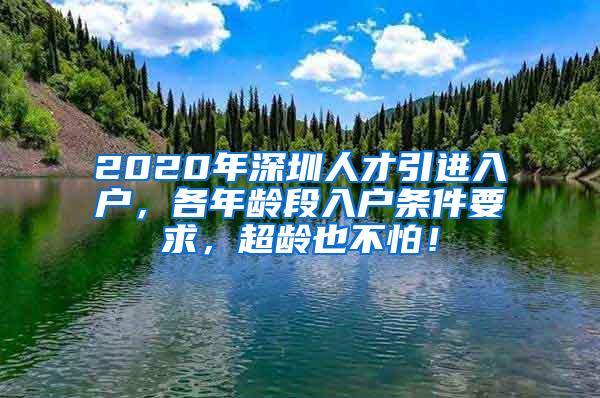 2020年深圳人才引进入户，各年龄段入户条件要求，超龄也不怕！