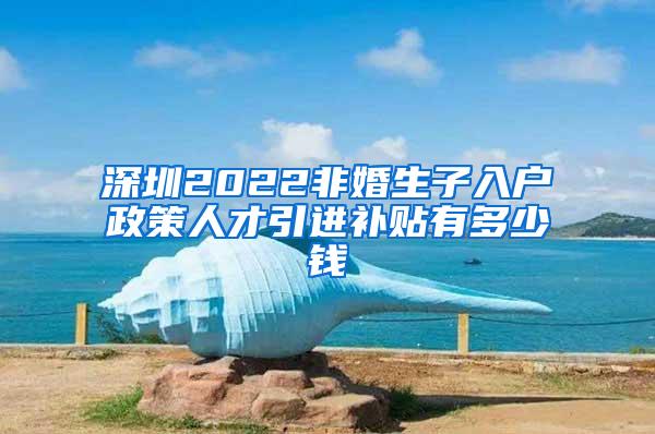 深圳2022非婚生子入户政策人才引进补贴有多少钱