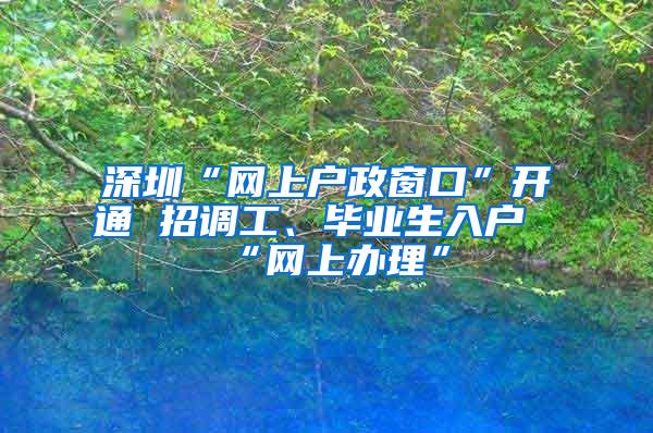 深圳“网上户政窗口”开通 招调工、毕业生入户“网上办理”