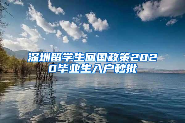 深圳留学生回国政策2020毕业生入户秒批