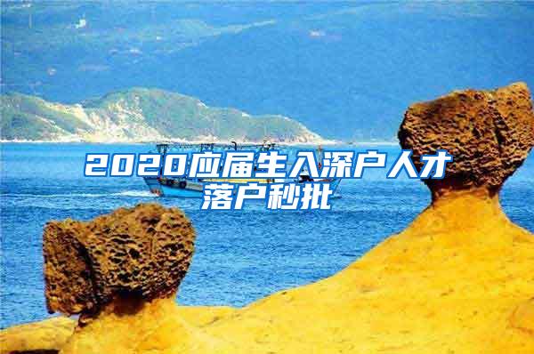 2020应届生入深户人才落户秒批