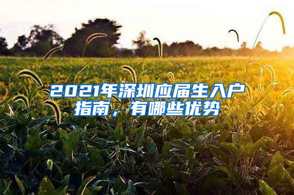 2021年深圳应届生入户指南，有哪些优势