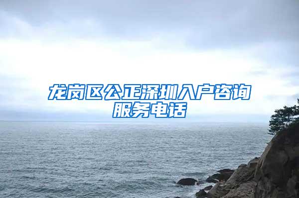 龙岗区公正深圳入户咨询服务电话