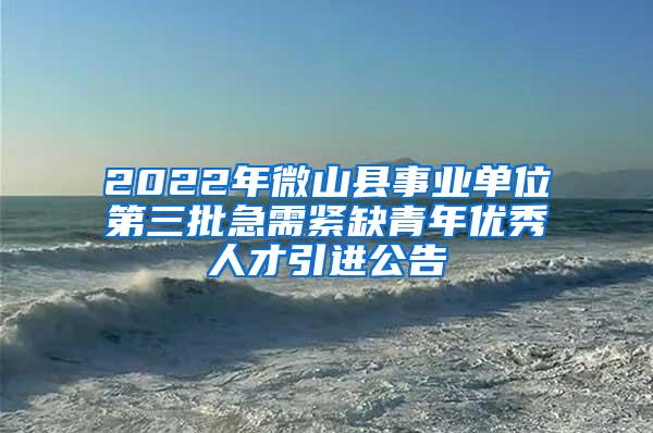 2022年微山县事业单位第三批急需紧缺青年优秀人才引进公告