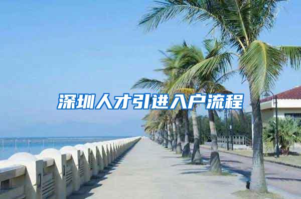 深圳人才引进入户流程