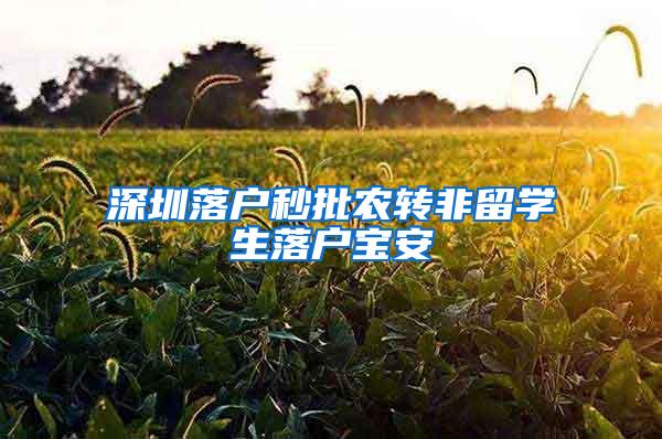 深圳落户秒批农转非留学生落户宝安