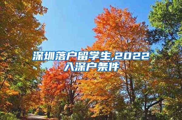 深圳落户留学生,2022入深户条件