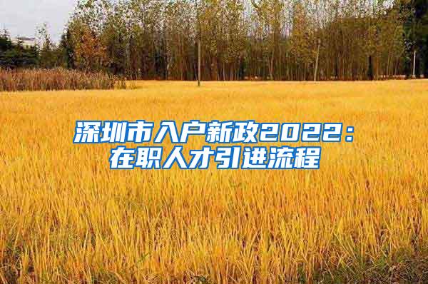 深圳市入户新政2022：在职人才引进流程