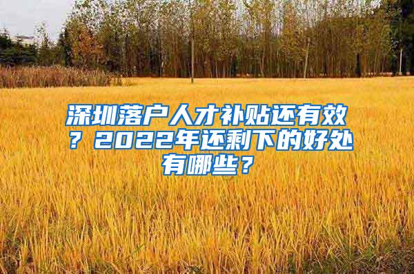 深圳落户人才补贴还有效？2022年还剩下的好处有哪些？