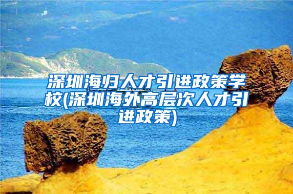 深圳海归人才引进政策学校(深圳海外高层次人才引进政策)