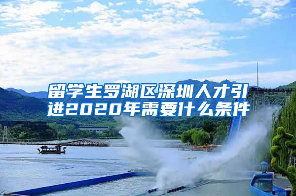 留学生罗湖区深圳人才引进2020年需要什么条件