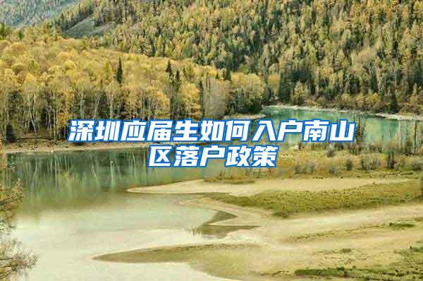 深圳应届生如何入户南山区落户政策