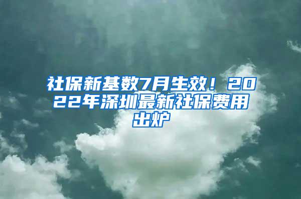 社保新基数7月生效！2022年深圳最新社保费用出炉