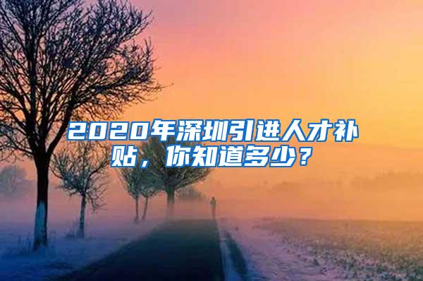 2020年深圳引进人才补贴，你知道多少？