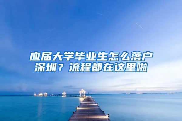 应届大学毕业生怎么落户深圳？流程都在这里啦