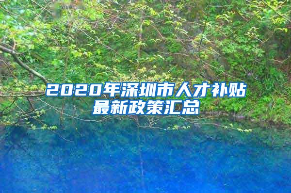 2020年深圳市人才补贴最新政策汇总