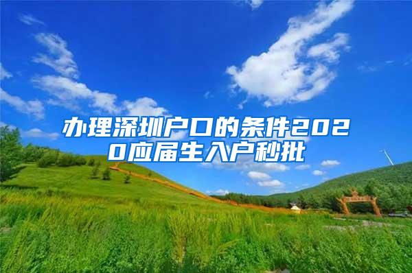 办理深圳户口的条件2020应届生入户秒批