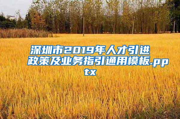 深圳市2019年人才引进政策及业务指引通用模板.pptx