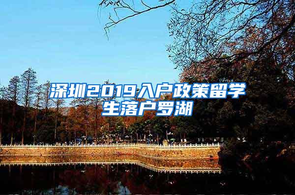 深圳2019入户政策留学生落户罗湖