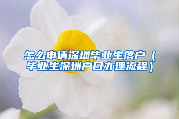 怎么申请深圳毕业生落户（毕业生深圳户口办理流程）