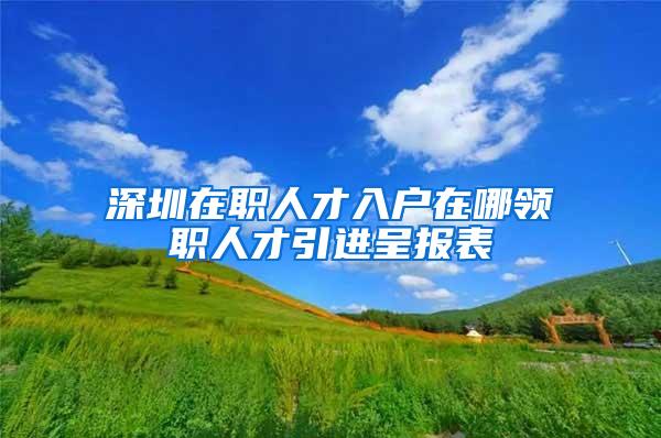 深圳在职人才入户在哪领职人才引进呈报表