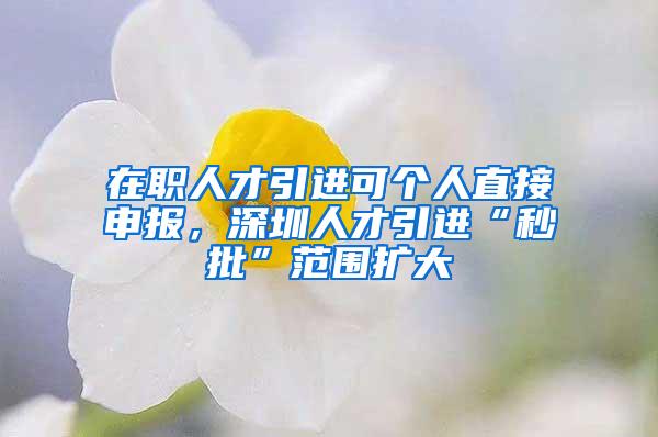 在职人才引进可个人直接申报，深圳人才引进“秒批”范围扩大