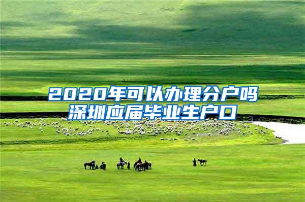 2020年可以办理分户吗深圳应届毕业生户口