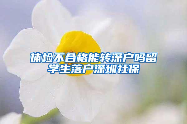 体检不合格能转深户吗留学生落户深圳社保