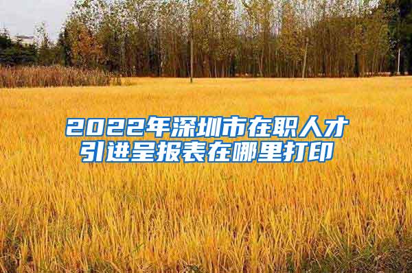 2022年深圳市在职人才引进呈报表在哪里打印