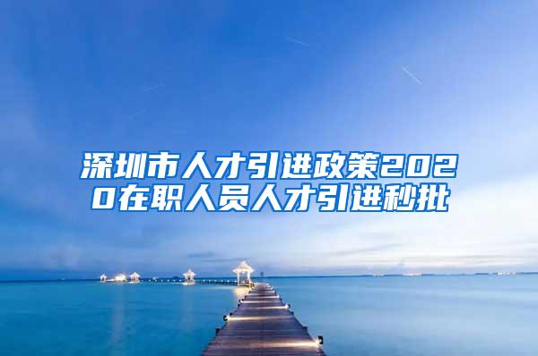 深圳市人才引进政策2020在职人员人才引进秒批