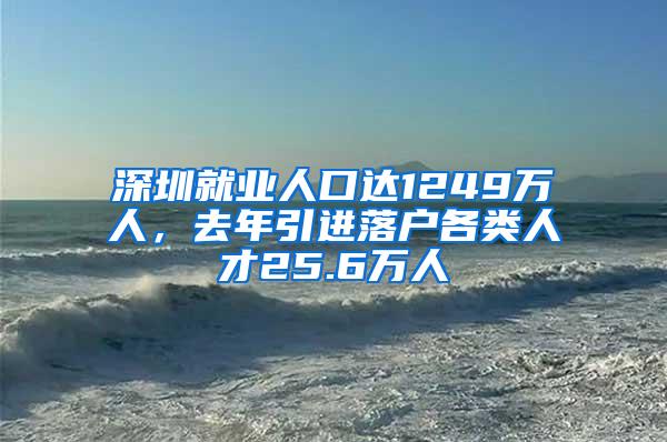 深圳就业人口达1249万人，去年引进落户各类人才25.6万人