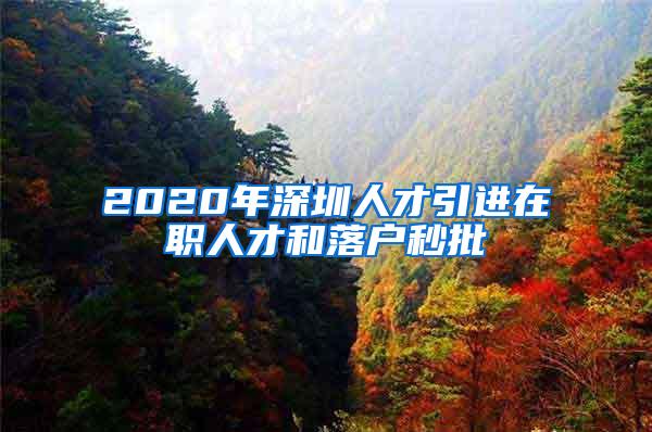 2020年深圳人才引进在职人才和落户秒批