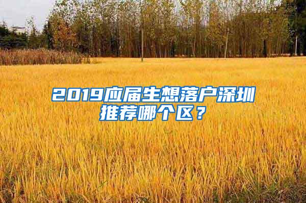 2019应届生想落户深圳推荐哪个区？