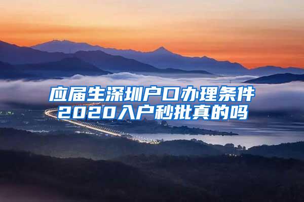 应届生深圳户口办理条件2020入户秒批真的吗