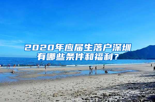 2020年应届生落户深圳有哪些条件和福利？