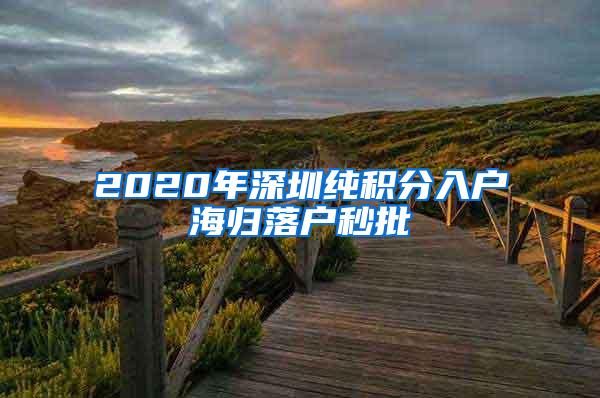 2020年深圳纯积分入户海归落户秒批