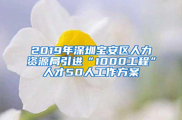 2019年深圳宝安区人力资源局引进“1000工程”人才50人工作方案