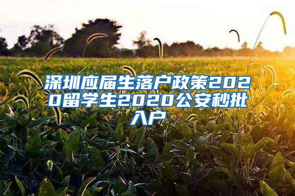 深圳应届生落户政策2020留学生2020公安秒批入户