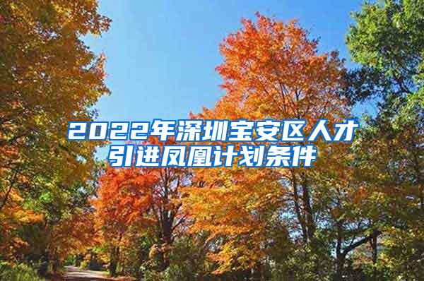 2022年深圳宝安区人才引进凤凰计划条件