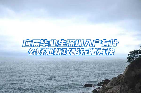 应届毕业生深圳入户有什么好处新攻略先睹为快