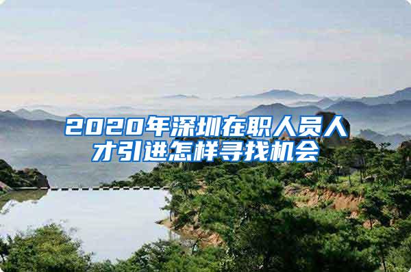 2020年深圳在职人员人才引进怎样寻找机会